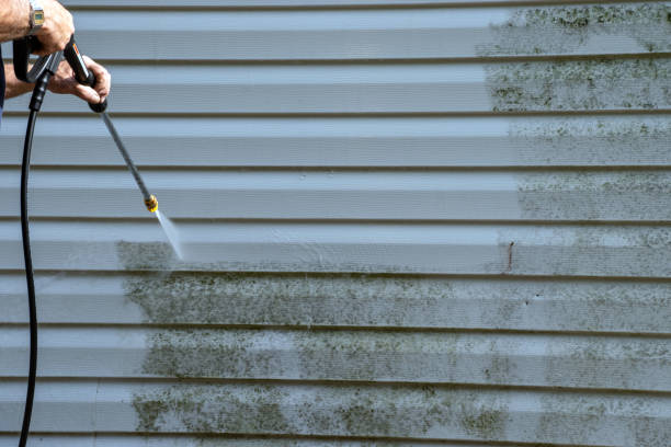 Best Engineered Wood Siding  in Corona, CA